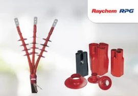 Raychem RPG: A Long-Standing Joint Venture in India's Power Sector